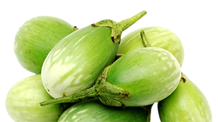 W.Brinjal ( టి. వంకాయ)